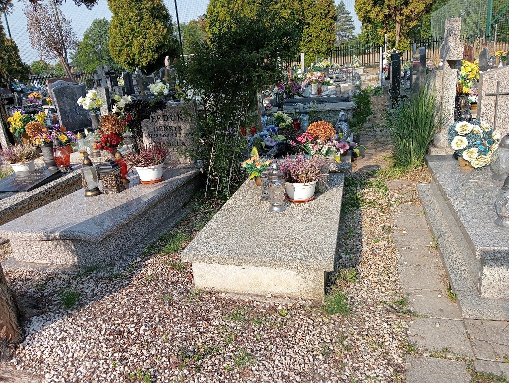 Grób Władysław Wiża